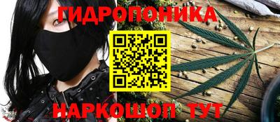 дмт Дубна