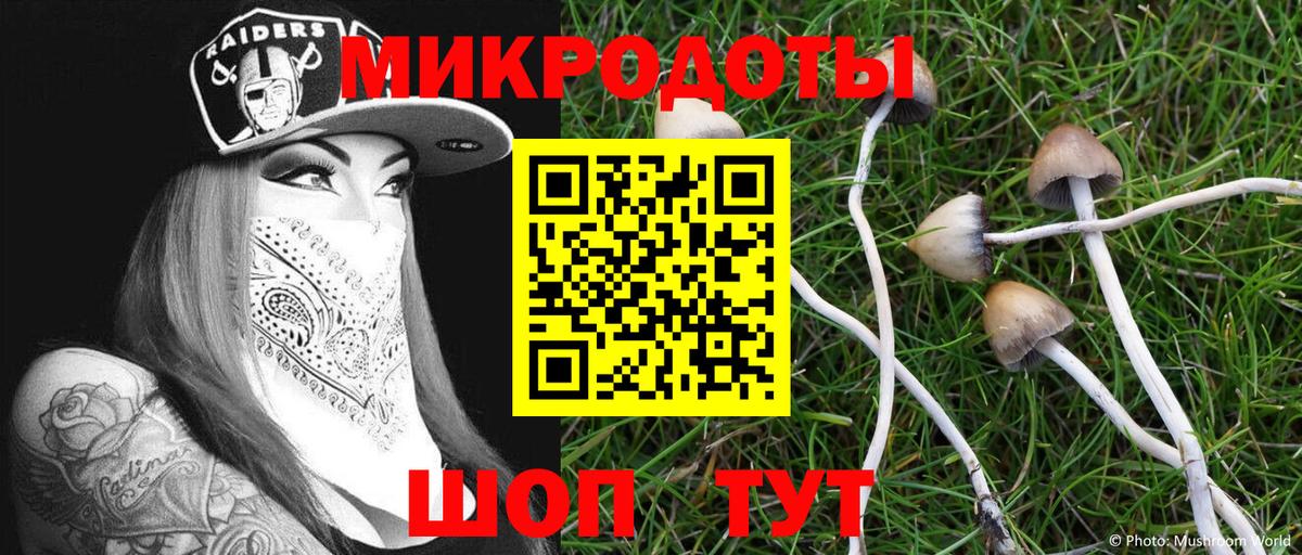 Луховицы  Галлюциногенные грибы GOLDEN TEACHER  Вход с VPN 