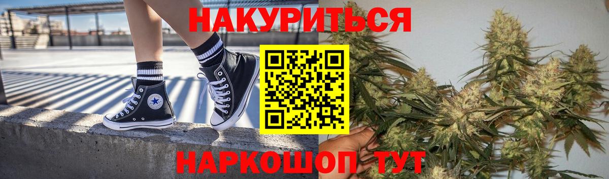 Канабис сатива Луховицы